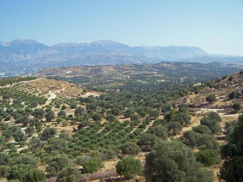 Villas Alexandros Kalamaki (Heraklion) Quarto foto